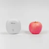 TS101 Insertion Temperature Sensor